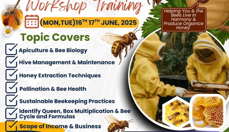 IMG-20250615-WA0000 IMG-20250615-WA0000